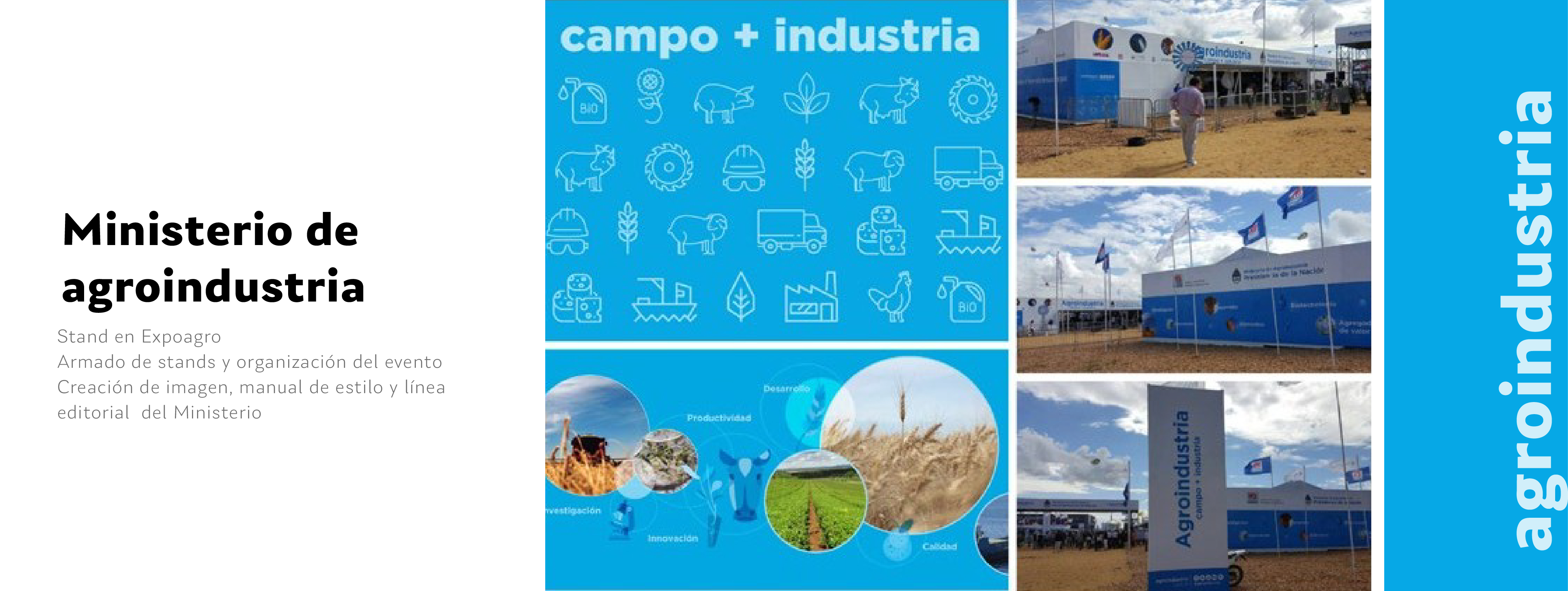 Caso 11